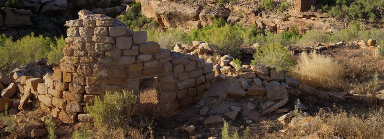 Ruins of ancient brick dwellings at Canyons of the Ancients National Monument in Colorado.