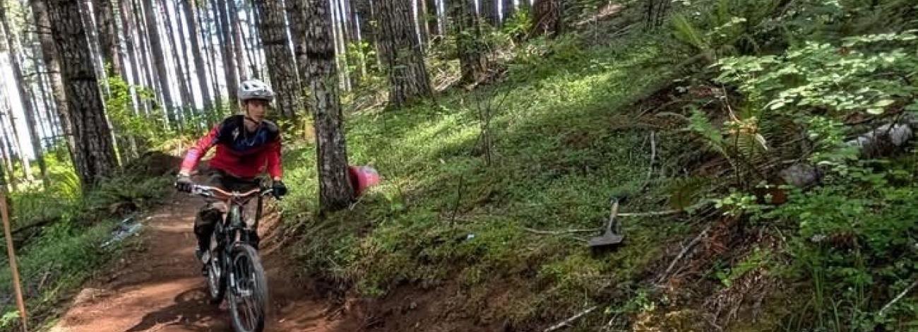 Mountain biker riding along a narrow dirt trail through a dense forest of tall, straight trees with filtered sunlight and green undergrowth.