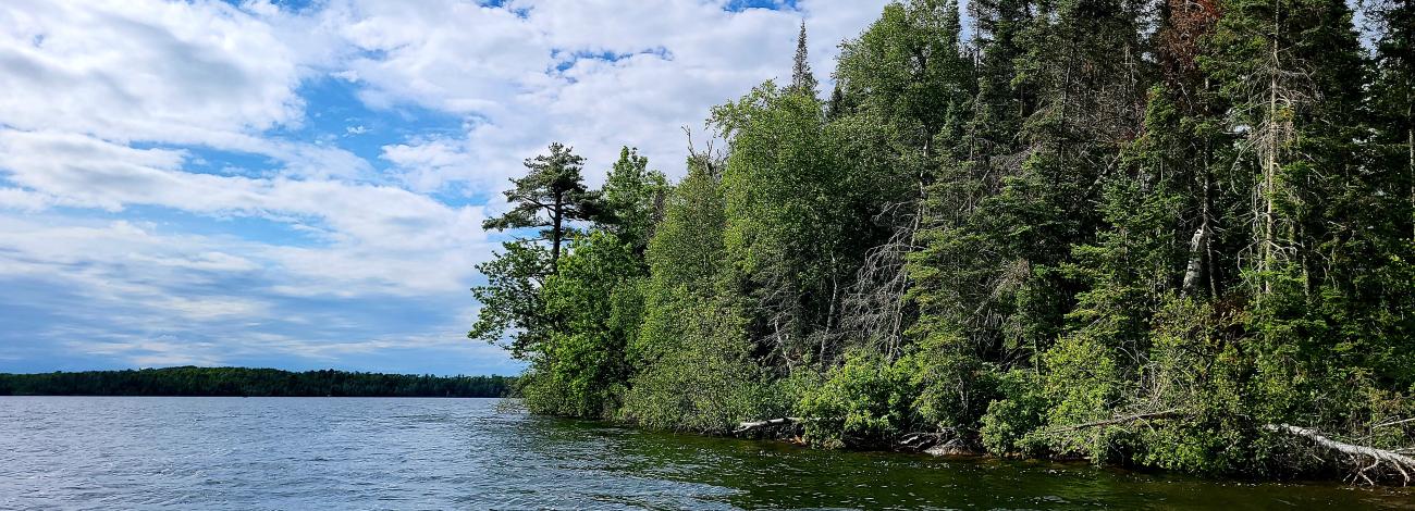 A scenic view of a forested shoreline under a partly cloudy sky, with calm lake water in the foreground.