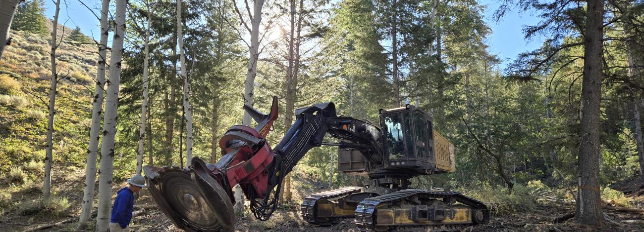 forestry machinery