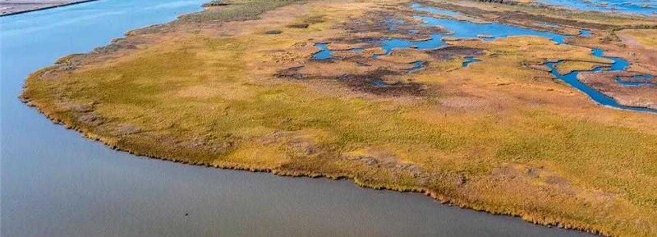Aerial view of grassy marshland bordered by calm water, with industrial tanks and buildings visible in the distance under a clear blue sky.