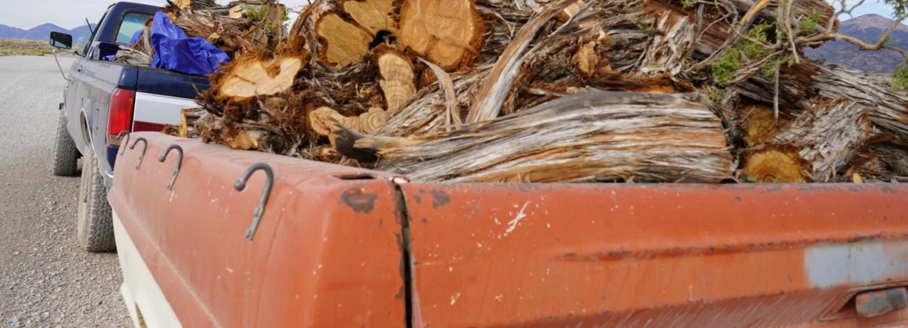 the bed of a pickup truck filled with firewood