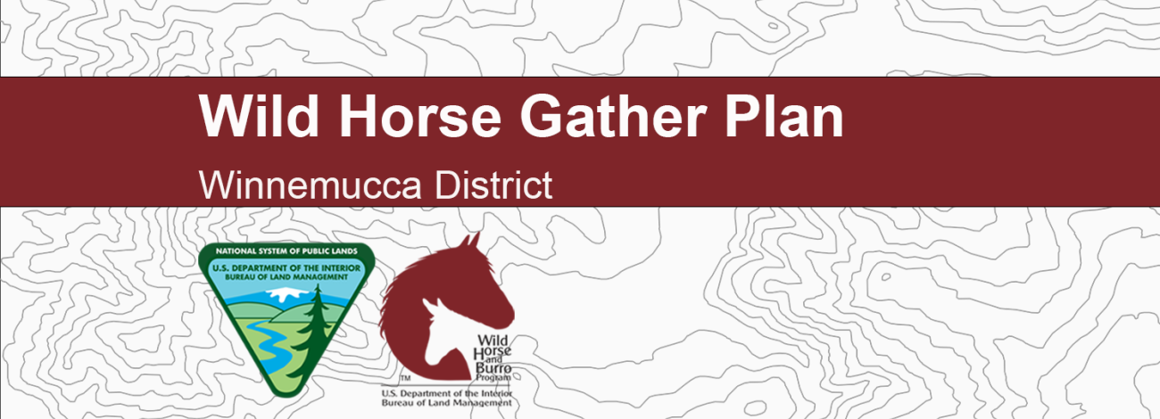 Graphic with BLM logo and graphic of horse head (Wild Horse and Burro Program logo with text above: "Wild Horse Gather Plan, Winnemucca District"