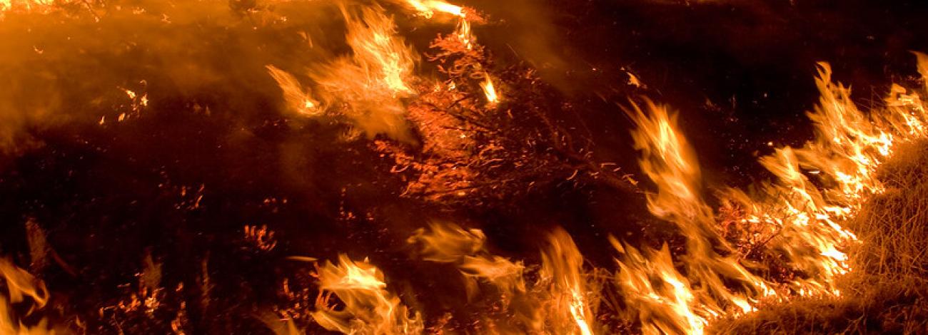 Active Flames on a Wildfire