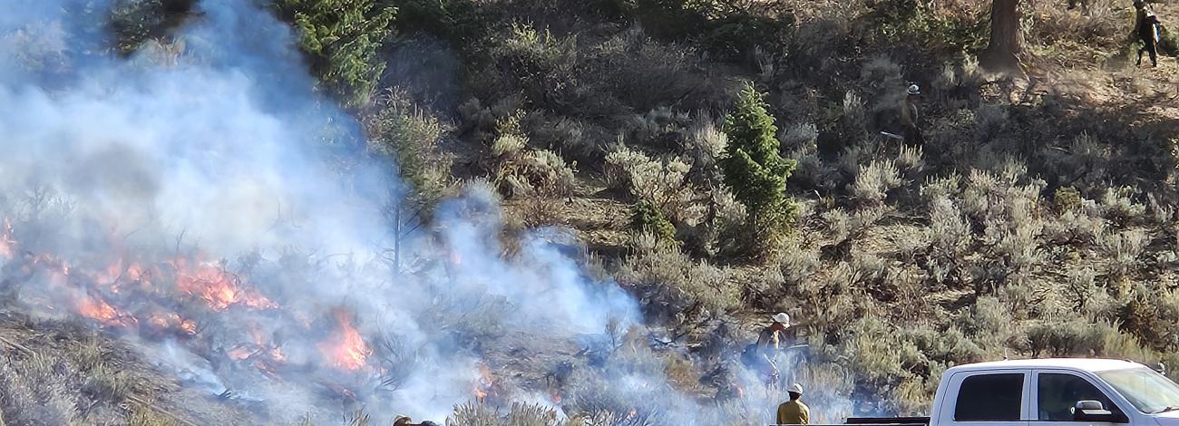 Workers closely monitoring a prescribed fire