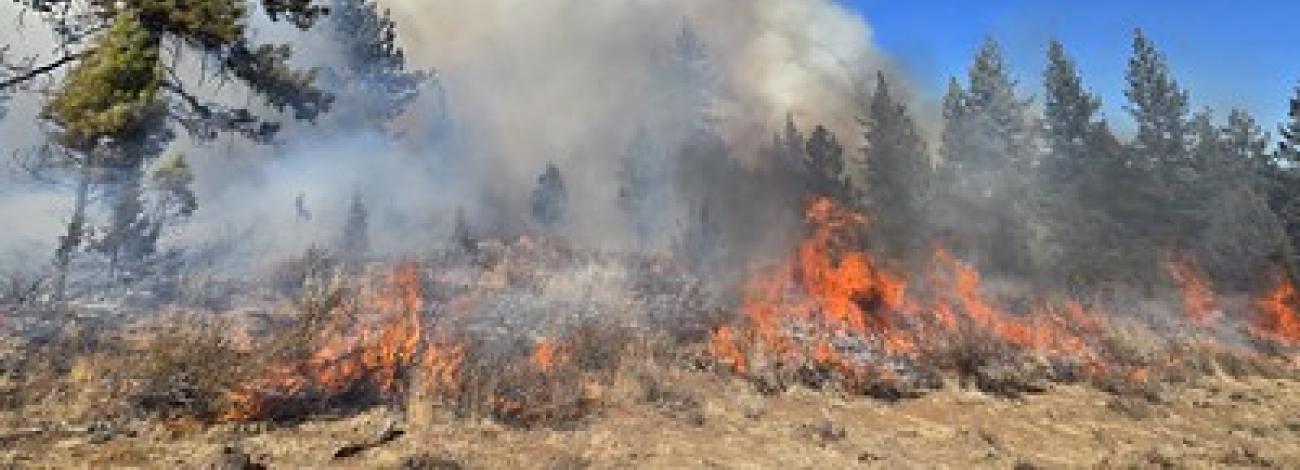 A fire burns in high country brush