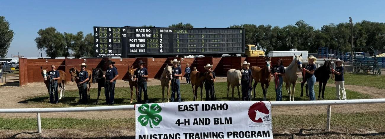 4-H members pose with their trained wild horse 
