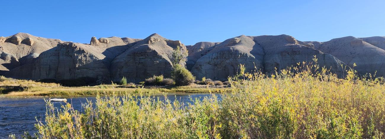 A view of the lands included in the proposed Seedskadee withdrawal revocation in southwestern Wyoming.