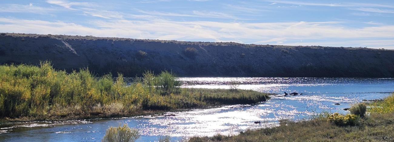A view of the lands included in the proposed Seedskadee withdrawal revocation in southwestern Wyoming. 