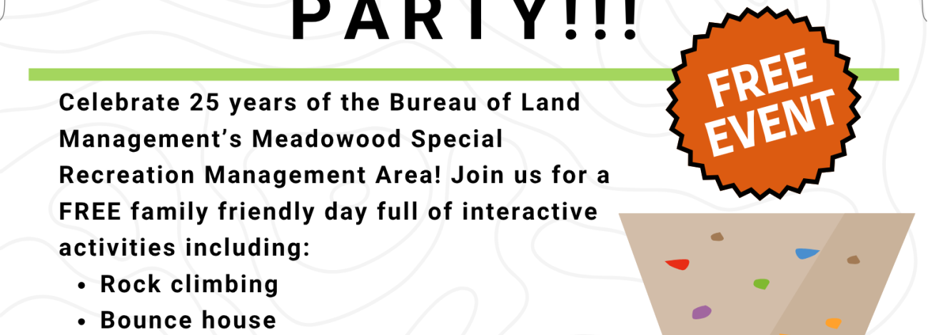 Flyer for Meadowood’s 25th birthday party, featuring balloons, activities, date, time, location, and contact information.