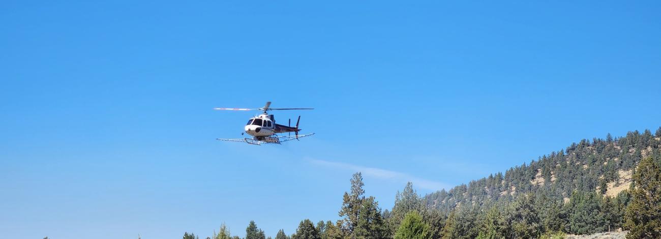 Helicopter flying low over a sagebrush-covered field near forested hills under a clear blue sky.