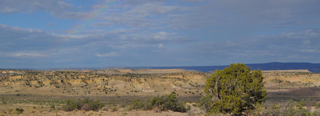 Rainbow over the White Ridge bike trails recreation area. Ella Kiley, BLM.