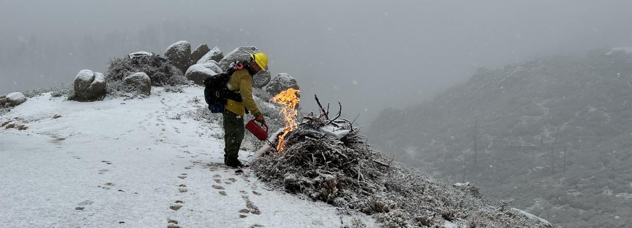 A firefighter in full gear ignites a slash pile on a snowy hill.