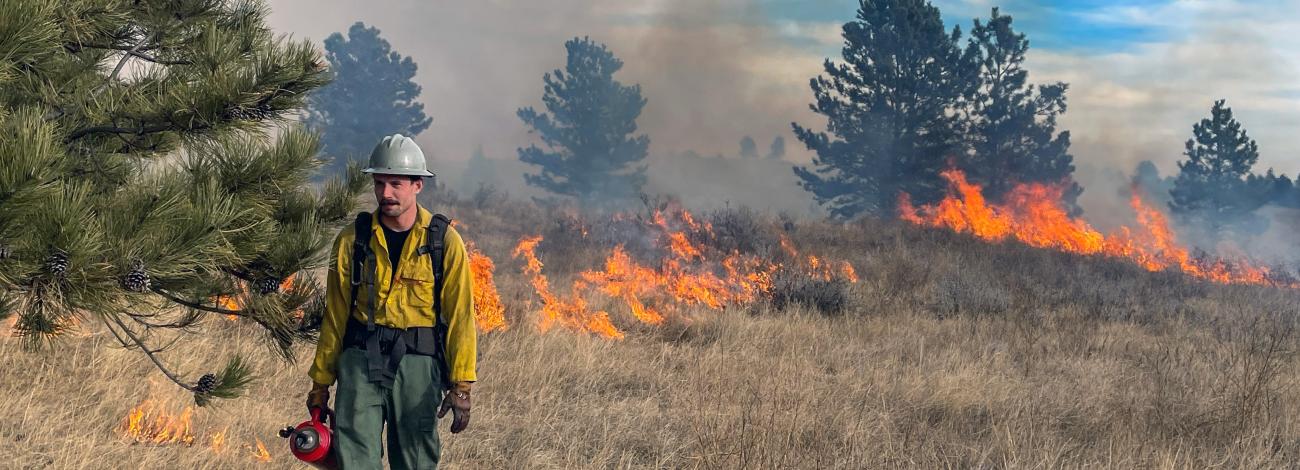 A firefighter walks through brush carrying a drip torch as a low fire burns in background