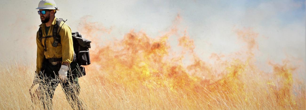 A prescribed fire in the Dripping Springs Natural Area in New Mexico.