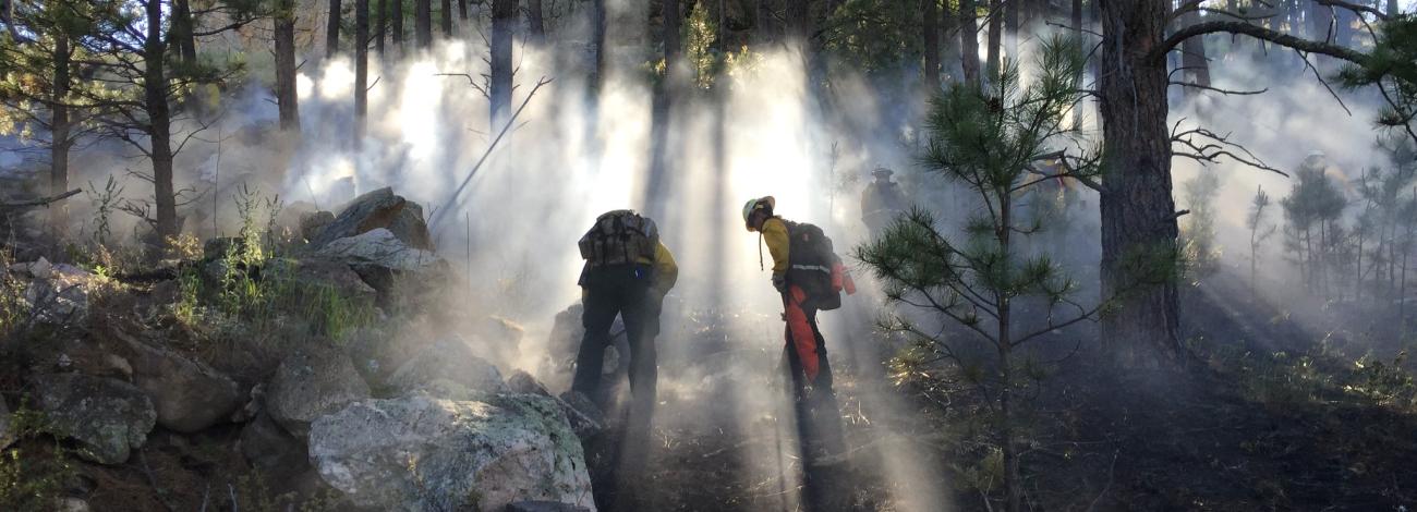 A prescribed fire northeast of Newcastle, Wyoming.