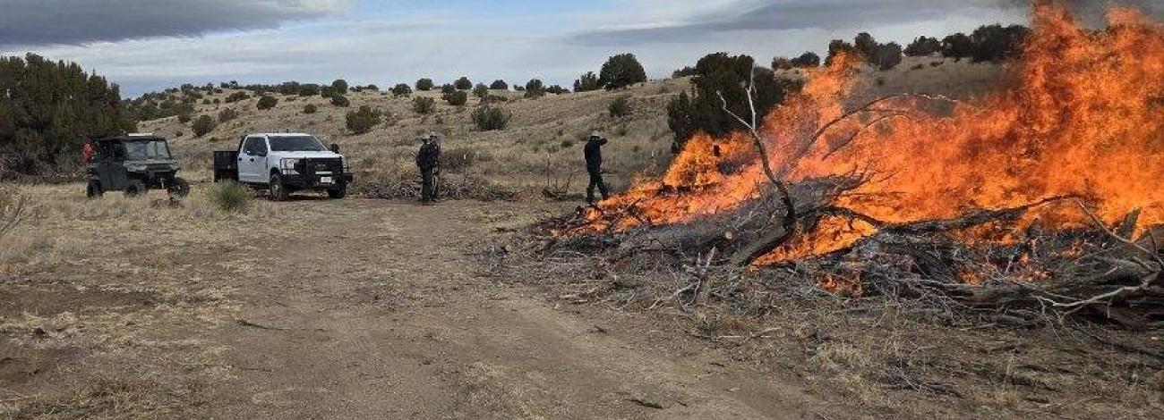 Prescribed fire pile burning in the Albuquerque District Office. 