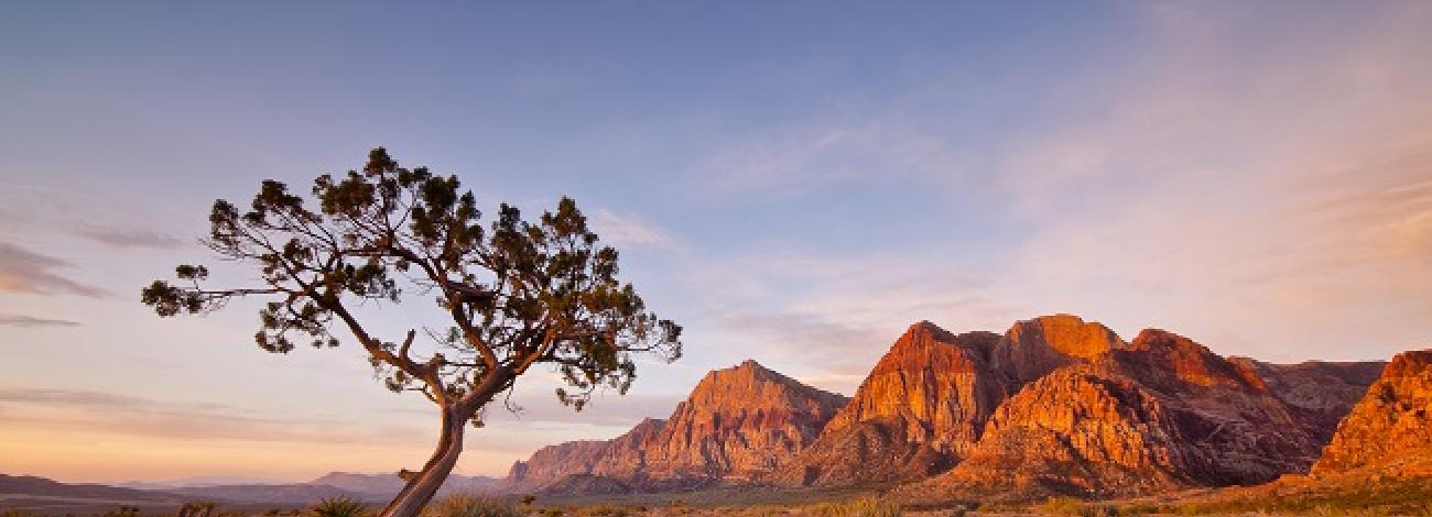 Scenic view of Red Rock Canyon NCA.