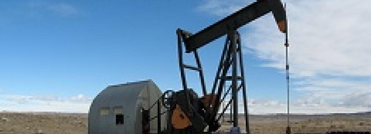 Oil pump and structure in a filed.