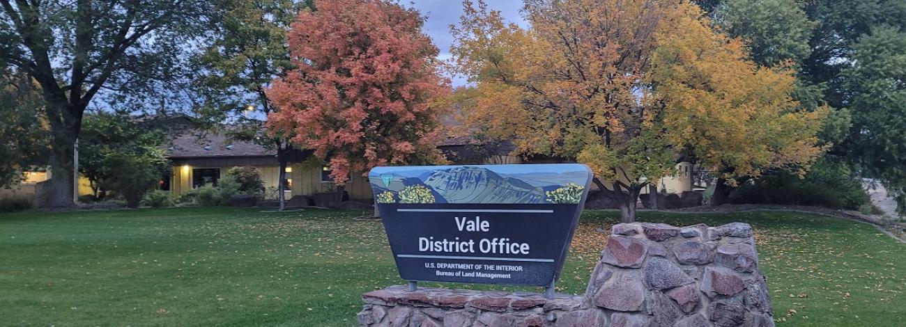 Vale District Office