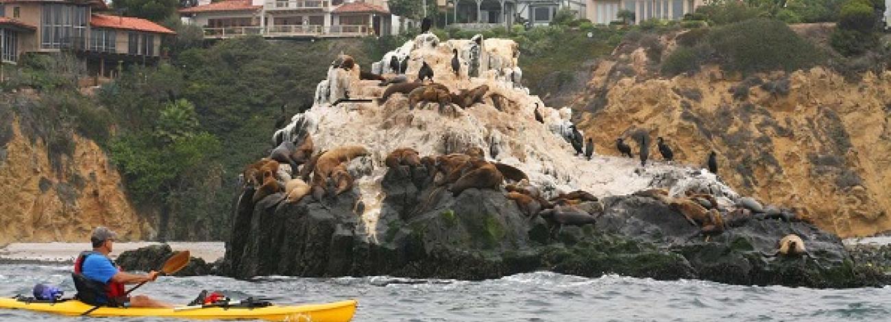 CCNM_Point_Vicente_Tracy_Albrecht