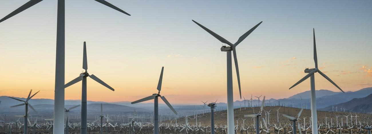 wind turbines california desert