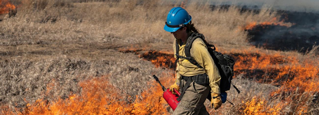 Pompeys Pillar National Monument Prescribed Fire. Photo by Colby Neal, BLM