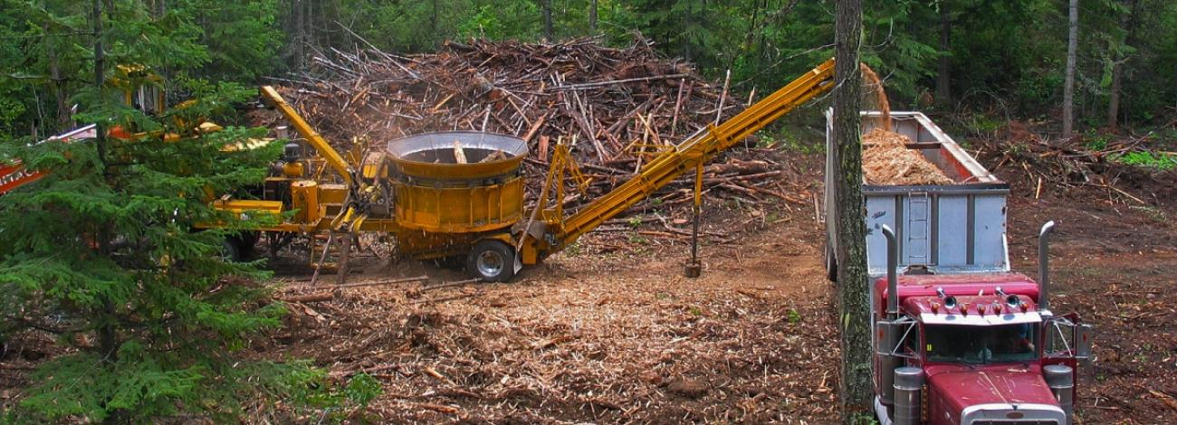 photo showing  truck and downed trees