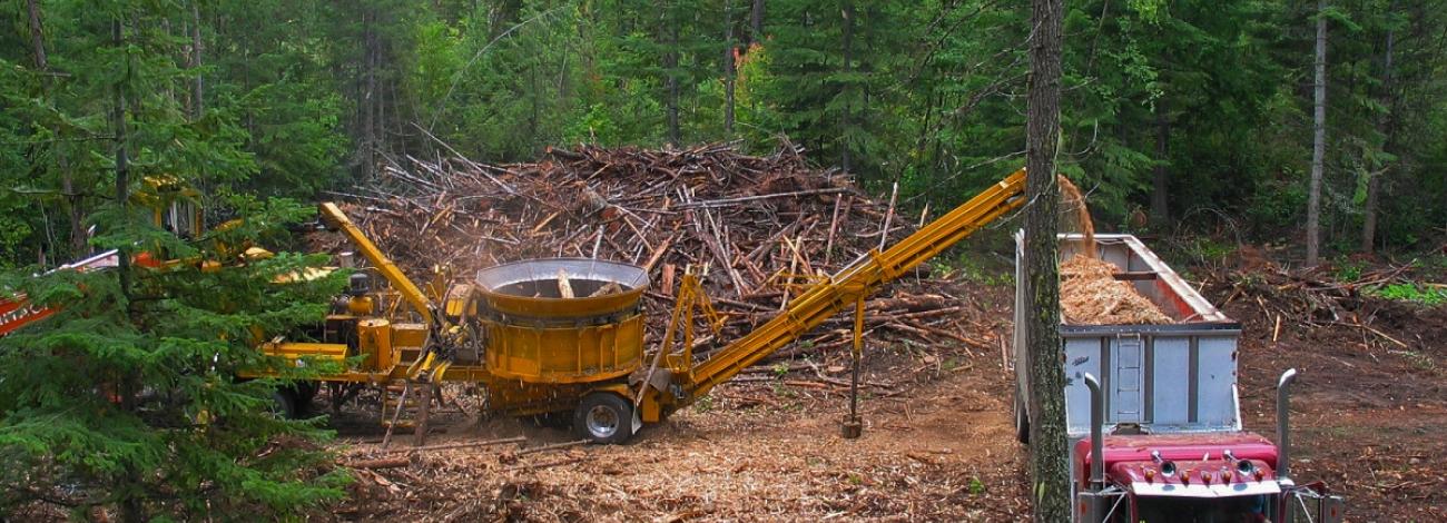 photo showing truck and downed trees
