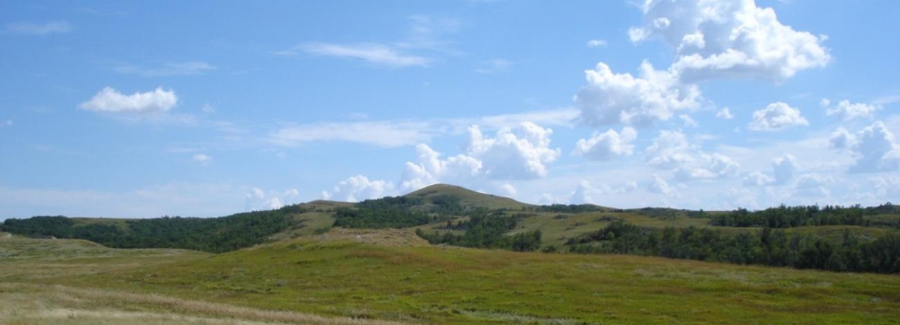 Green field with blue skies dotted with white fluffy clouds.