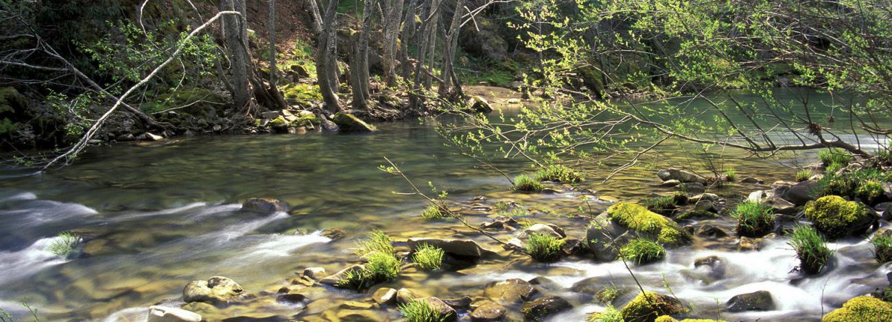 A shallow river flows over rocks in the South Fork Eel Wild and Scenic River.  Photo by Bob Wick, BLM.