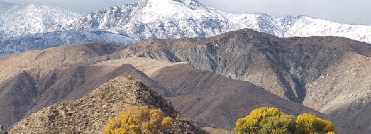 Snow capped mountains in the background and dry desert mountains in the foreground. (BLM Photo)