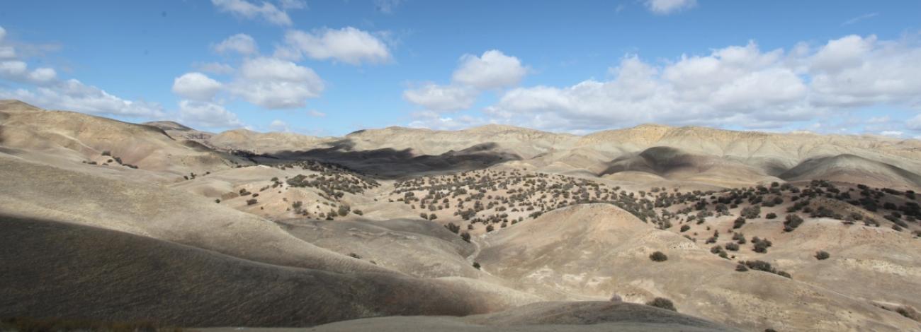 Rolling hills below skies with puffy clouds.