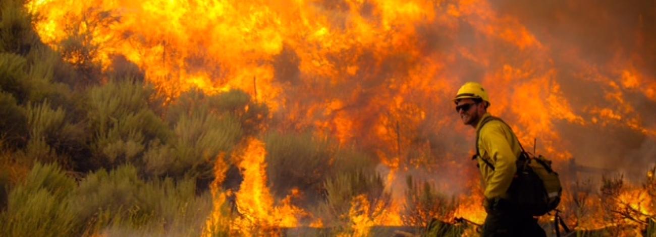 Wildland firefighter walking with huge wildfire in the background.