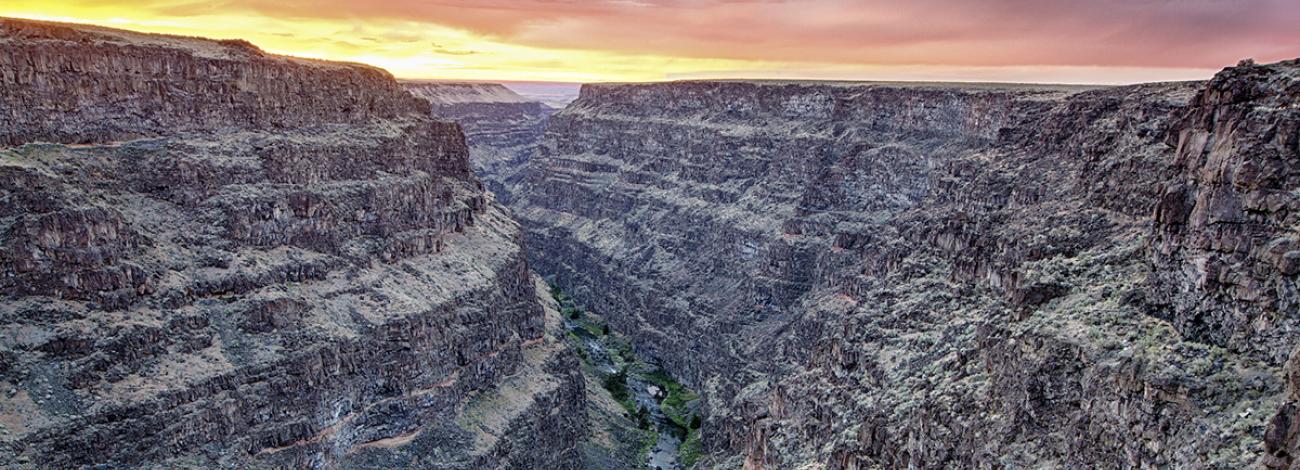 Bruneau Wild and Scenic River