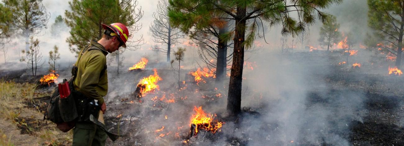 Firefighter walking through burn area