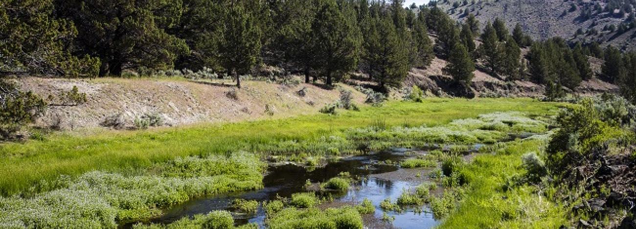 Wilderness Study Area