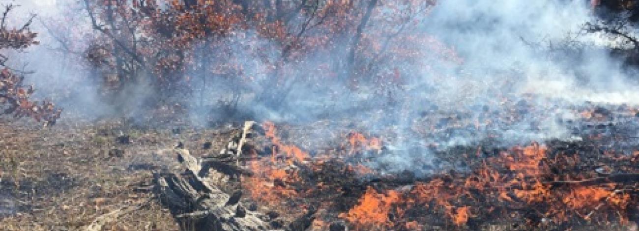 fire on the ground, short flame height