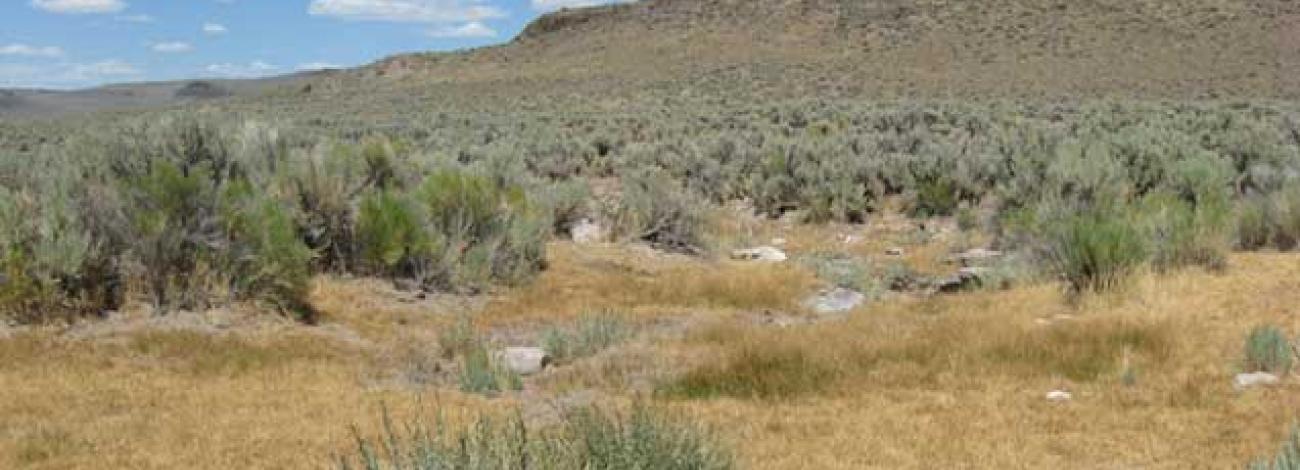 wall canyon