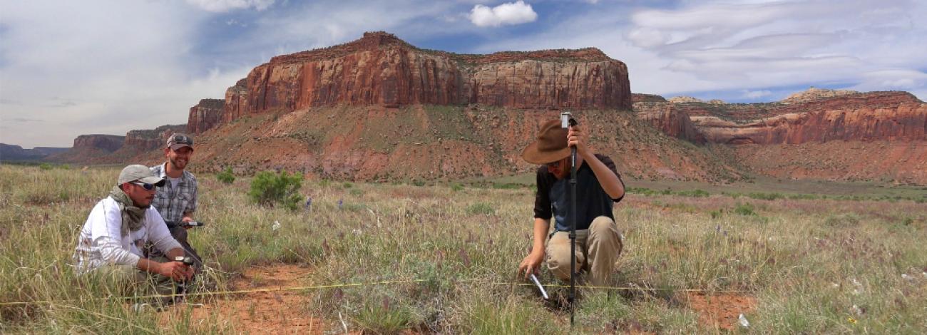 BLM employees monitor rangeland near Canyonlands in Utah.