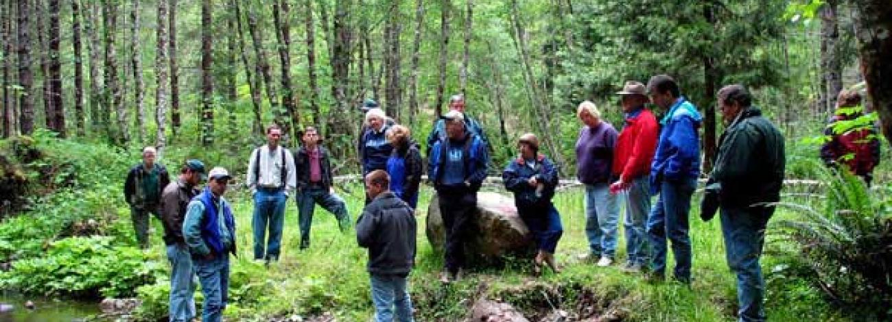 photo of RAC members meeting in a forest near a stream