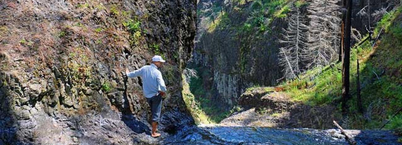 South Fork Clackamas Wild and Scenic River