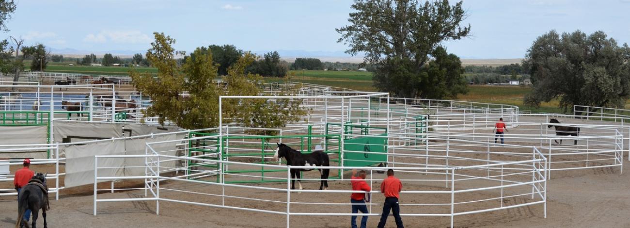 honor farm
