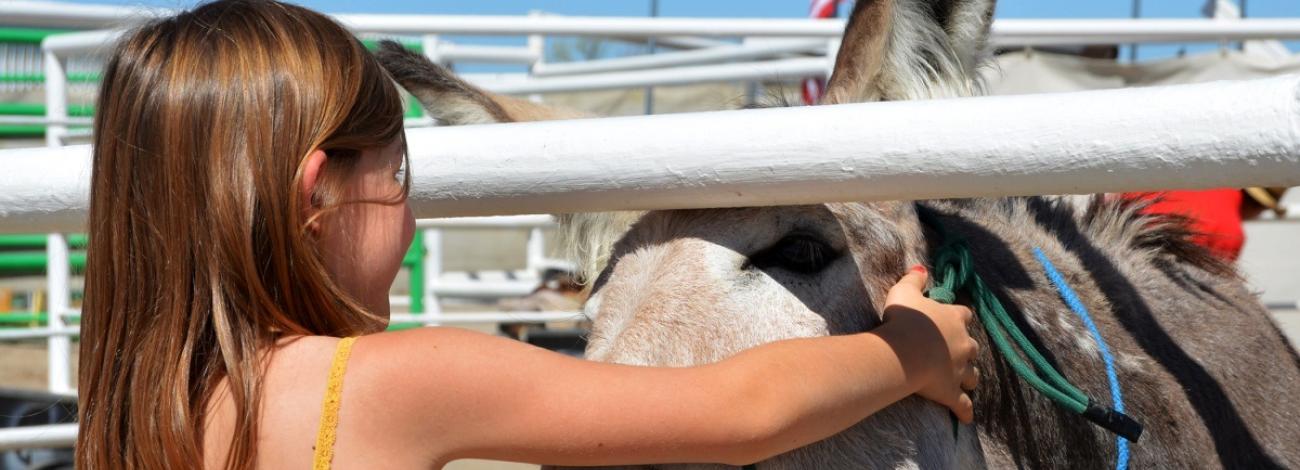 Girl with burro head through panel. 