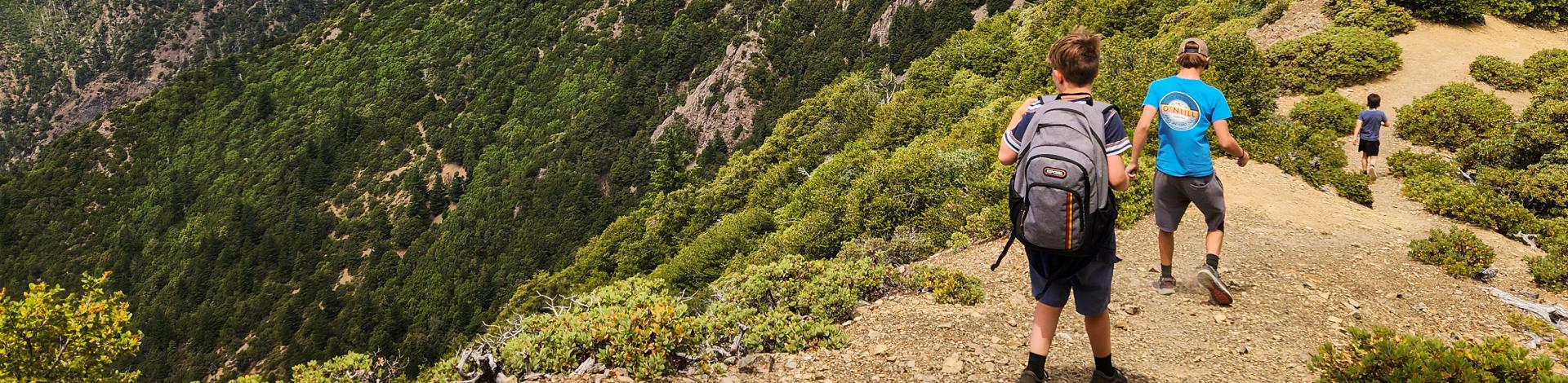 Three children walking on a high mountain trail.