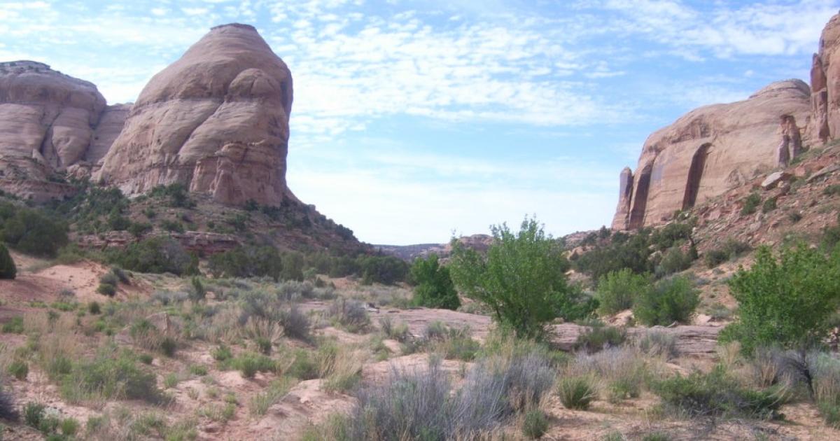 Programs: National Conservation Lands: Utah: Horseshoe Canyon (South) WSA |  Bureau of Land Management