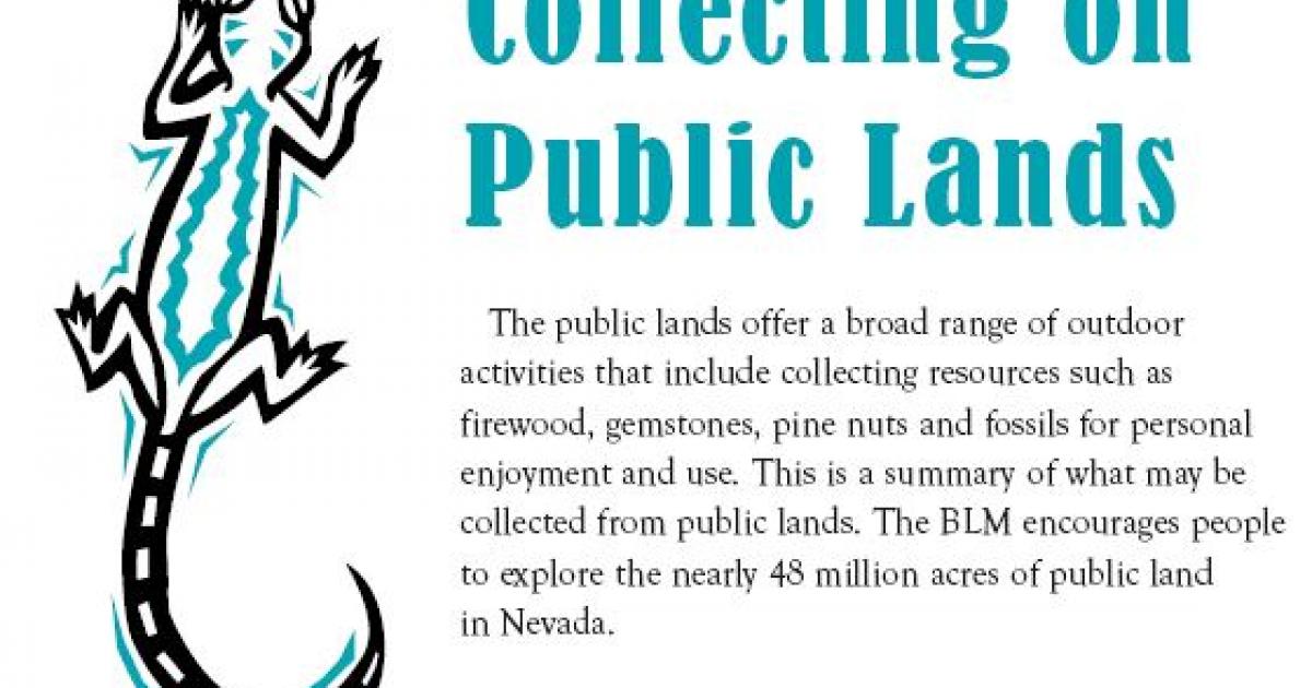 Collecting on Public Lands | Bureau of Land Management
