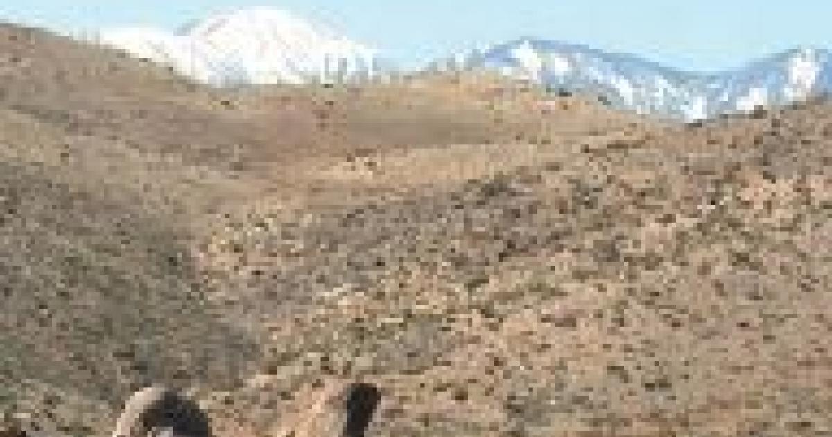 Juniper Flats Map and Brochure Bureau of Land Management