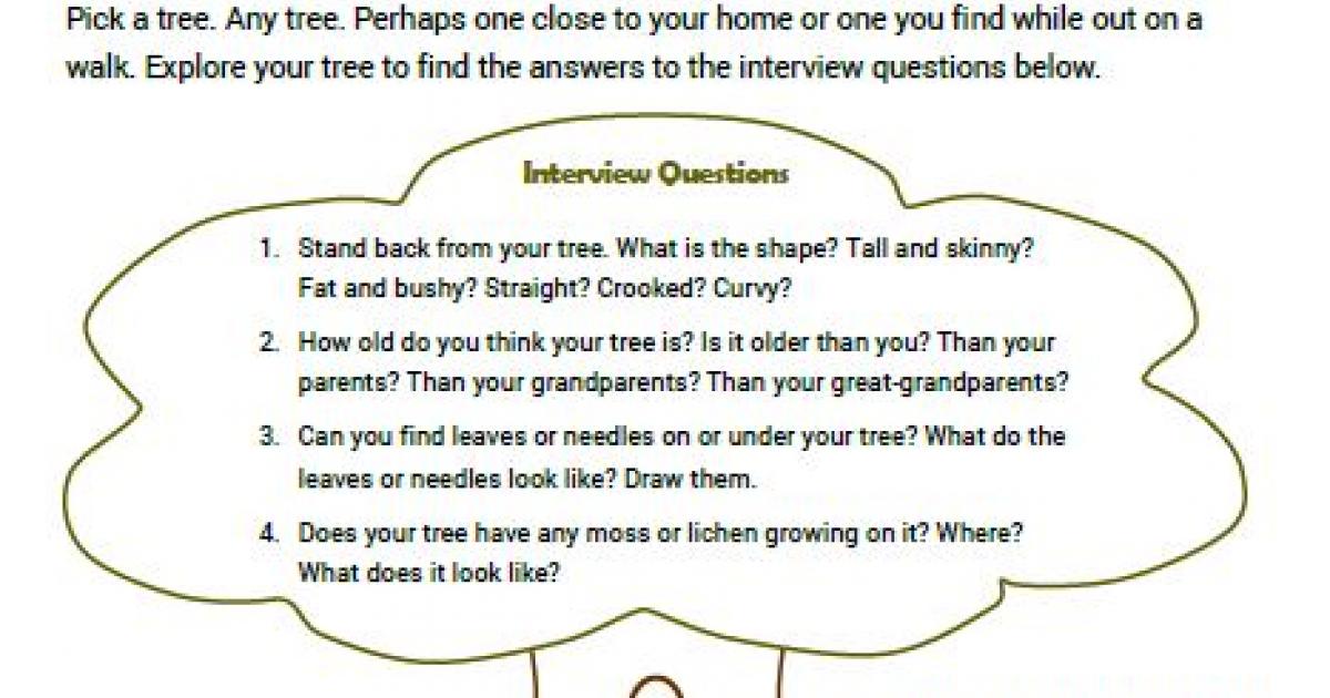 Interview a Tree Activity | Bureau of Land Management