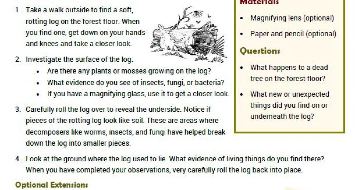 Investigate a Fallen Log Activity | Bureau of Land Management